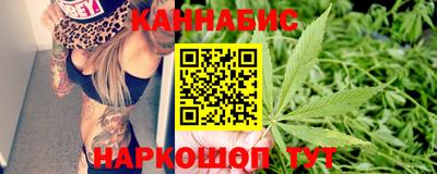 гидропоника Пенза