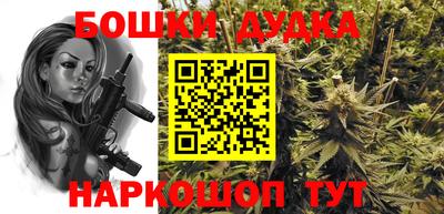 гидропоника Пенза