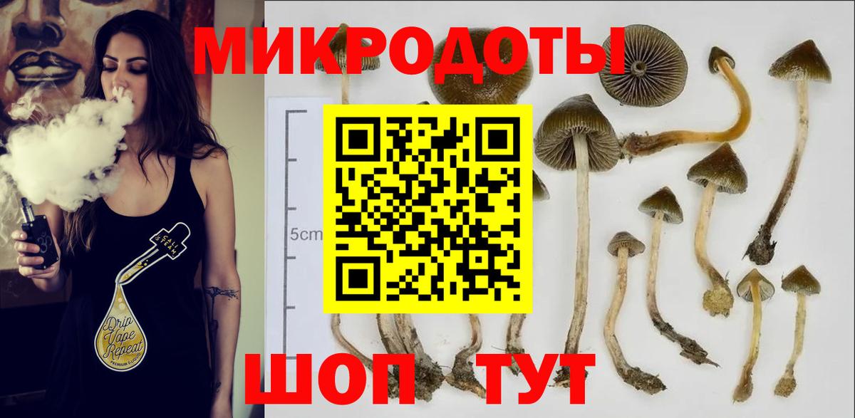 Псилоцибиновые грибы мухоморы  Вход с VPN  Пенза 